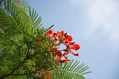 9月美国PS“出货量”较去年同期增长了4倍